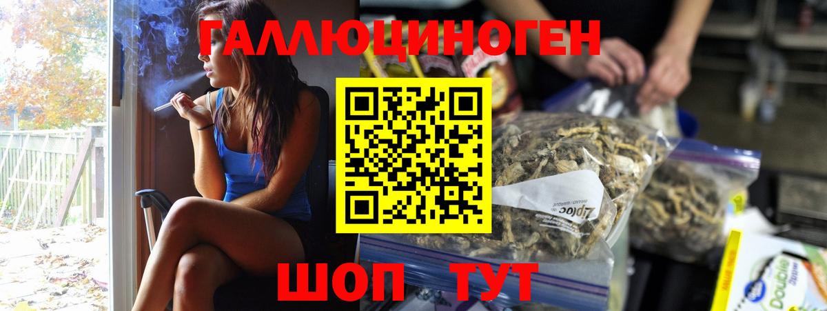 Галлюциногенные грибы Psilocybe  Вход с VPN  Будённовск  Псилоцибиновые грибы Psilocybe 