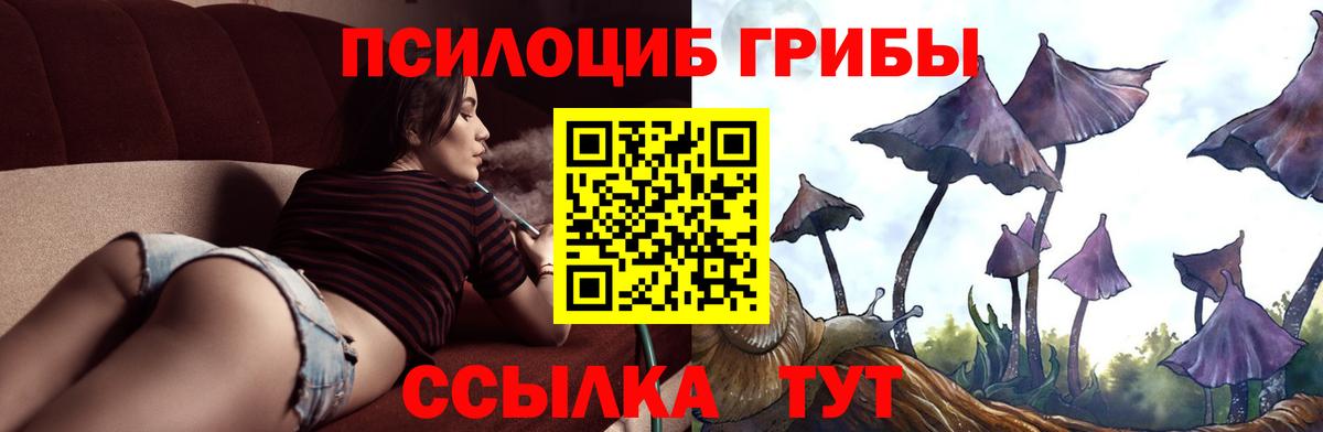 Галлюциногенные грибы мухоморы Будённовск